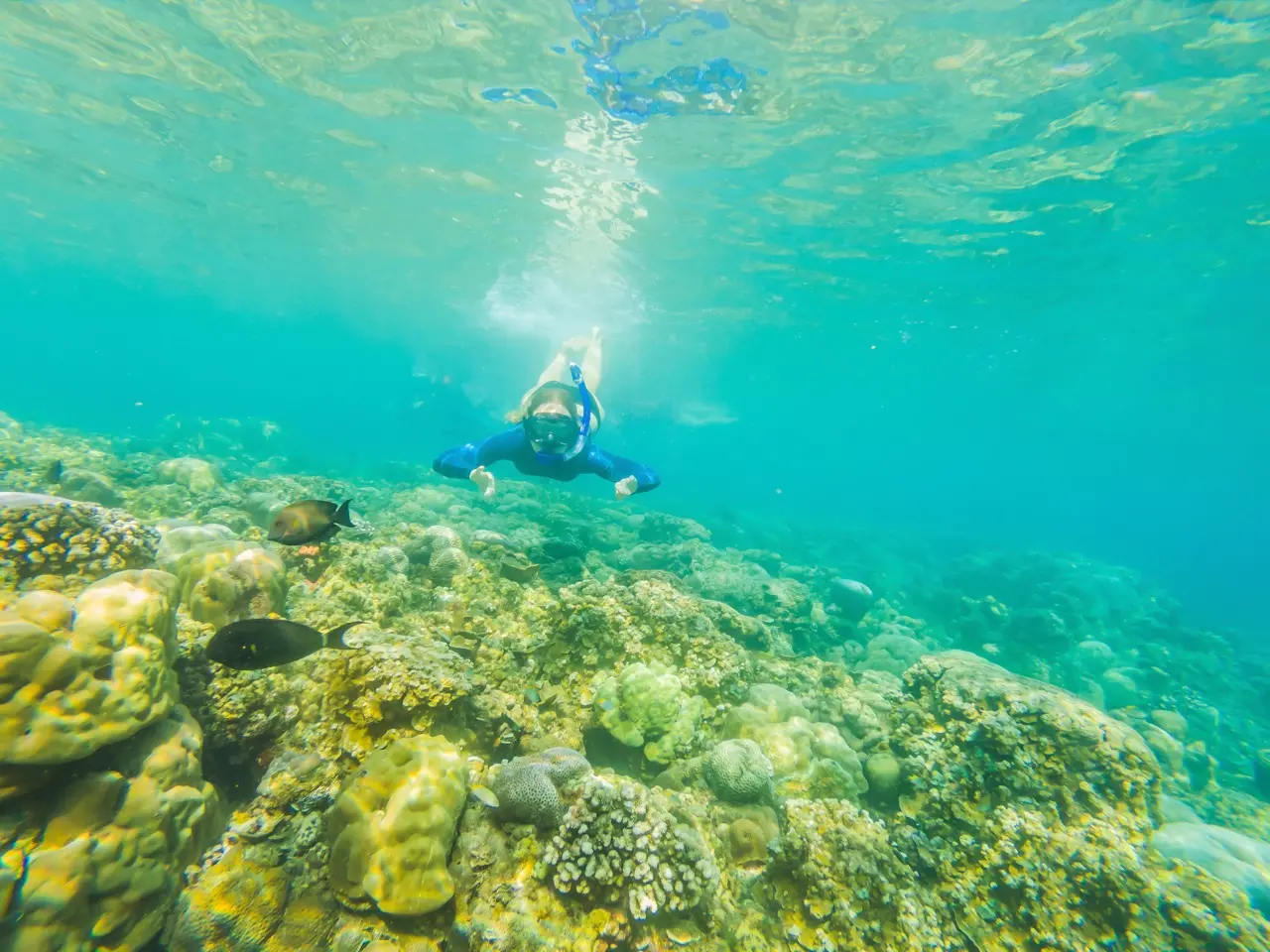 Snorkeling Package 2