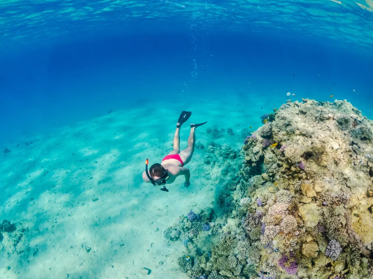 Snorkeling Package 3